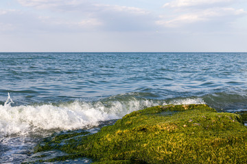 Obraz premium Big of natural breakwaters covered with algae. With blue sky and waves on background. 