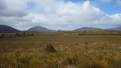 Great plain of Melaleuca, the Southwest National Park, Tasmania, Australia