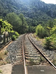 Railroad tracks in nature