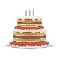 birthday cake with three burning candles