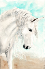 Naklejka na ściany i meble Watercolor illustration of a white horse with long white mane on the turquoise background