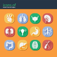 icons of human internal organs