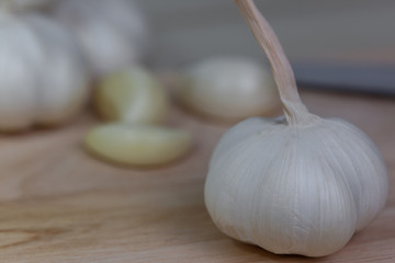White garlic head close-up blurred background.