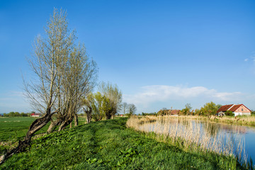 House above the river, trees and blue sky. Beautiful spring landscape in Poland