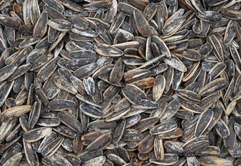 Organic black salty sunflower seeds. For texture or background.