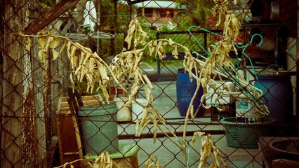 Brown leaves tied on the rusted barrier