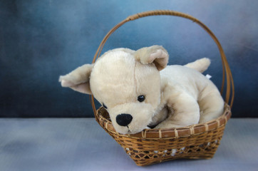 White puppy doll in woven bamboo basket