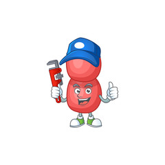 neisseria gonorrhoeae Cartoon drawing concept work as smart Plumber