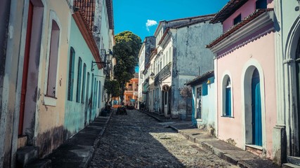 Empty street with a tree with buildings