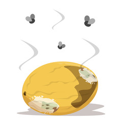 Rotten melon vector isolated. Insects flying above
