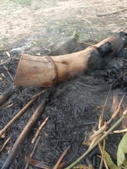 Black charcoal and ash and smoke of old bamboo that burned fire