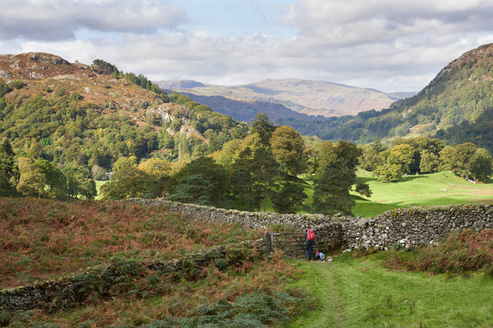 A hiker approaching a gate in Low Sweden Coppice near Rydal on a sunny day in the Lake District.