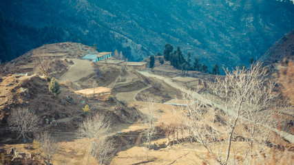 Green small house on top of a dirt hill
