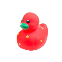  rubber toy isolated on white