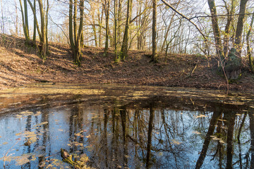 small lake with trees and sky mirroring on waterground during beautiful springtime day