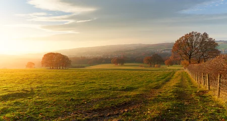 Stickers Weide Sunset over farmland, meadows and trees in autumn with golden brown leaves on the trees in England, UK.  © Duncan Andison