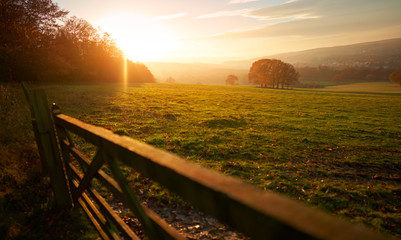 A closed gate at sunset over farmland, meadows and trees in autumn with golden brown leaves on the...