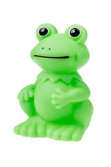 frog on white background