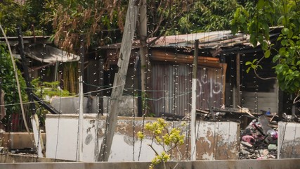 Old shack with rows of long festive lights