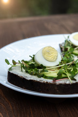 sandwiches with microgreens, cucumber and quail eggs on a white plate. a kind of sunlight. Healthy diet. Feed option. young sprouts of radish and red cabbage. vertical photo