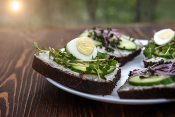 sandwiches with microgreens, cucumber and quail eggs on a white plate. wooden background. a kind of sunlight. Healthy diet. Feed option. young sprouts of radish and red cabbage