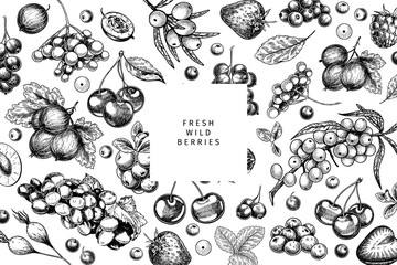 Hand drawn wild berry. Cherry, gooseberry, cranberry, raspberry, black currant, plum, rosehip, guelder rose, sea buckthorn, grape, strawberry. Vector vegan food banner. Package design, restaurant.