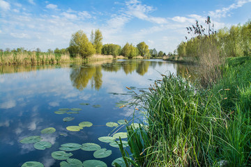 River, trees and blue sky. Beautiful spring landscape, Zulawy Wislane in Poland