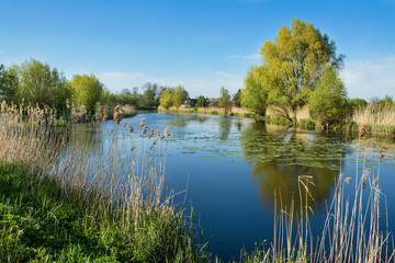 River, trees and blue sky. Beautiful spring landscape, Zulawy Wislane in Poland