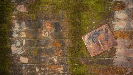 Red brick wall with fungus growing on the wall