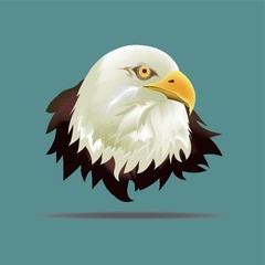 eagle face
