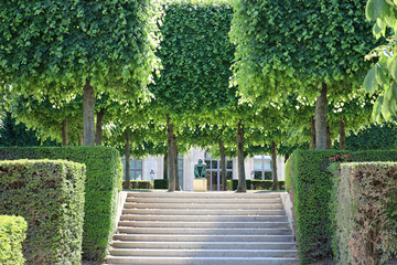 The Tuileries garden in Paris deserted by tourists during the lockdown