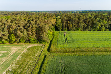 Waldgebiet umgeben von Getreidefelden aus der Luft