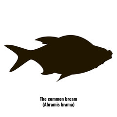 The black silhouette of the common bream (Abramis brama) is isolated on white background.