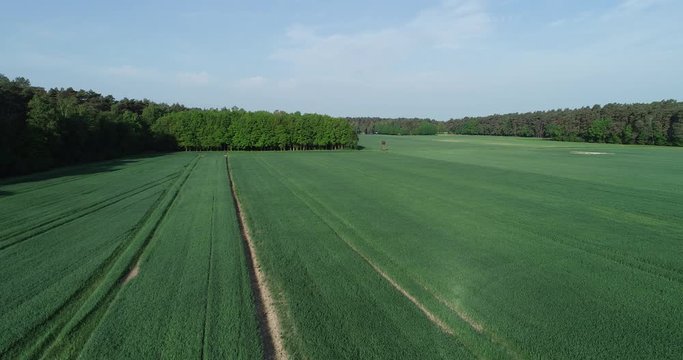 Forstgebiet Images – Browse 248 Stock Photos, Vectors, and Video | Adobe Stock