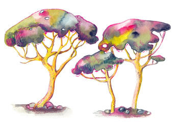 watercolor illustration - italian trees - pines
