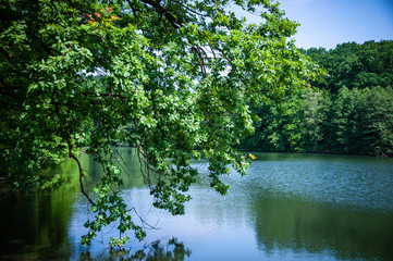Lake with trees and blue sky, Maksimir Zagreb