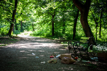 Trash left in nature near a bench