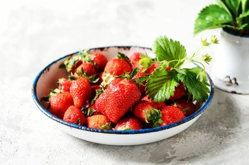 Fresh strawberries in a bowl on a gray background, still life