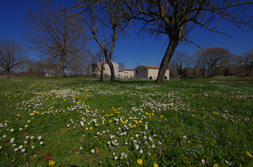 Obraz premium Sepino - Molise - Italy - Archaeological site of Altilia