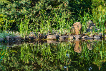 Magical garden pond with evergreens along stone shores. Aquatic plants growing on shore are reflected in mirror surface of pond. Atmosphere of relaxation, tranquility and happiness