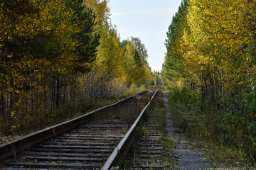 The railway, old and abandoned, passes through the autumn forest, curved worn rails, thickets of grass, landscape for a picture