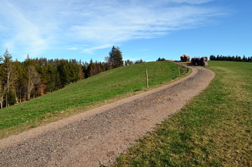 Fototapeta na wymiar Wanderweg bei Breitnau im Schwarzwald