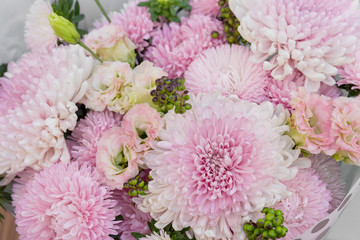 Bouquet of pink chrysanthemums close up. Flower wallpaper. Flower shop.