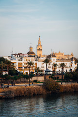 Obraz na płótnie Canvas Catedral de Sevilla con Giralda y plaza de toros de la Maestranza al atardecer junto al río Guadalquivir
