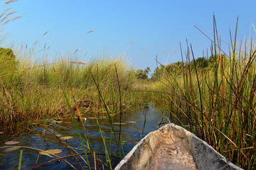 Okavango Delta , Botswana