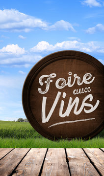 Foire aux vins, vins et terroir