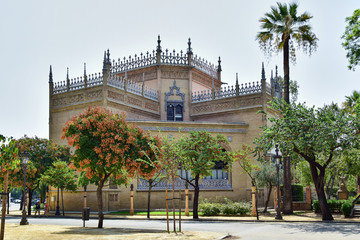 Seville, Spain - Pabellon Real, a municipal institution, a brown building decorated with decor, in the foreground trees and a palm tree, brown flowers on a tree.