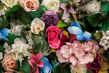 beautiful colorful flowers close up
