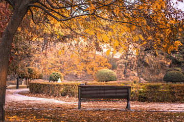 Banco en un paisaje de otoño