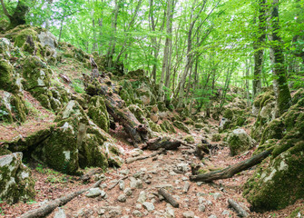 Monte Gennaro (Italy) - The peak in the Monti Lucretili mountains, Lazio region, central Italy, at...
